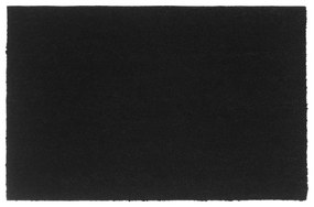 Πατάκι Εισόδου Μαύρο 65 x 100 εκ. Θυσανωτός Κοκοφοίνικας
