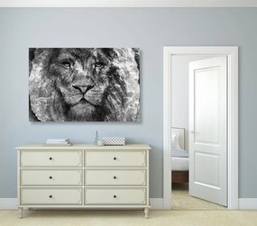 Εικόνα προσώπου λιονταριού σε ασπρόμαυρο