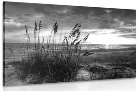 Εικόνα ηλιοβασίλεμα στην παραλία σε μαύρο & άσπρο - 120x80