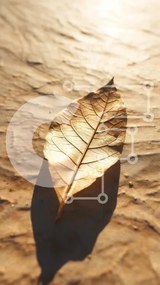 Intra Συλλεκτικό Ξύλινο Παζλ Plywood  4mm - Ξηρό φύλλο σε ανάγλυφη επιφάνεια Σε Ξύλινο Κουτί - Διαστάσεις: 10x10 cm – 25 κομμάτια