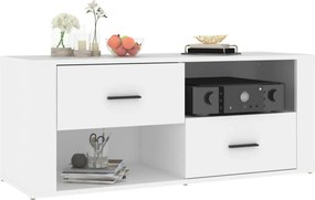 vidaXL Έπιπλο Τηλεόρασης Λευκό 100 x 35 x 40 εκ. Επεξ. Ξύλο