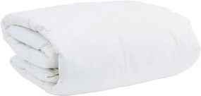 vidaXL Χειμερινό Παπλωματοθήκη Λευκό 200 x 220 cm Φτερό