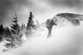 Φωτογραφία Searching for a path, Lubos Balazovic