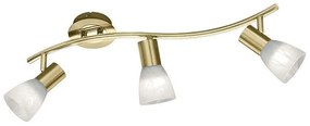 Φωτιστικό Οροφής-Σποτ Led Levisto 3x400Lm 55x19x10cm Brass Mat 871010308 Trio Lighting Metal, Glass