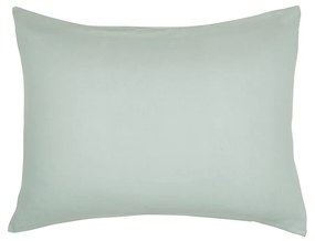 Μαξιλαροθήκες /  μαξιλάρια στήριξης Today  TO 50/70+5 Coton TODAY Organic Celadon