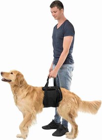 Περιπατητής σκύλων Trixie