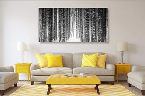 Εικόνα δάσους τυλιγμένο στο χιόνι σε μαύρο και άσπρο - 120x60