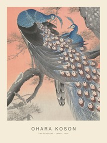 Εκτύπωση έργου τέχνης Two Peacocks (Special Edition) - Ohara Koson copy, (30 x 40 cm)