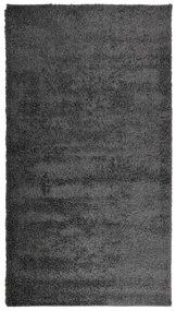 Χαλί Shaggy με Ψηλό Πέλος Μοντέρνο Ανθρακί 60x110 εκ. - Ανθρακί