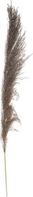 ΤΕΧΝΗΤΆ ΦΥΤΆ BROWN PAMPA X3 H110 179282B