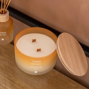 Αρωματικό Κερί 420gr (Φ13x8.5) A-S Sana Terre De Feu 204706B