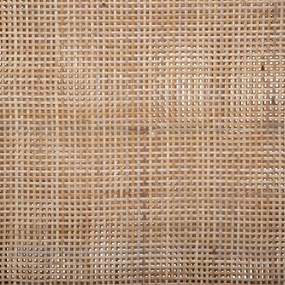 Παραβάν (120x1.8x169.5) A-S Rattan 178720