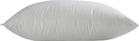 Βρεφικό Μαξιλάρι Μέτριο (30x40) Vesta Superflex Polyester