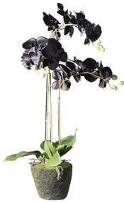 Supergreens Τεχνητό Φυτό Ορχιδέα Phalaenopsis Real Touch Μαύρη με Βάση Moss 85 εκ.