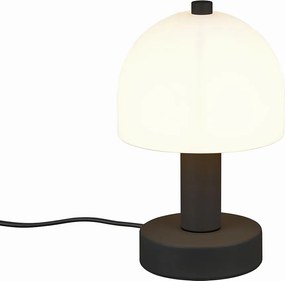 Πορτατίφ (Φ12x19) RL Glenn Black R51961032