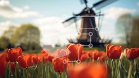 Intra Συλλεκτικό Ξύλινο Παζλ Plywood 4mm - Πεδίο με κόκκινες τουλίπες με πορτοκαλί ανεμόμυλο Σε Ξύλινο Κουτί - Διαστάσεις: 10x10 cm – 25 κομμάτια