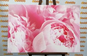 Εικόνα από πέταλα λουλουδιών - 60x40