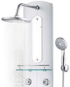 vidaXL Στήλη Ντους Υδρομασάζ Ασημί 25 x 43 x 120 εκ.