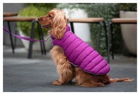 Παλτό Σκύλου Red Dingo Puffer Ροζ/Μωβ 35 cm