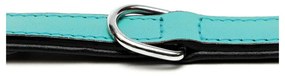 Κολλάρο Σκύλου Gloria Γεμισμένο Turquoise 40 cm (40 x 2 cm)