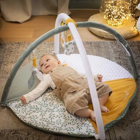 Βρεφικό Γυμναστήριο 2 'Οψεων Sophie The Giraffe S010410