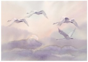 Φωτοταπετσαρία - Flying Swans 250x175