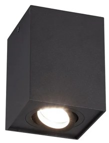 Σποτ Trio Lighting Biscuit 613000132 Μαύρο