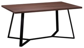 Τραπέζι Hanson EM821,2 160X90X75 cm Metal,Wood