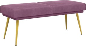 vidaXL Διπλή Επίστρωση Πάγκος Μοβ 120 x 45 x 46 εκ Βελούδο