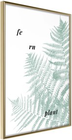 Αφίσα - Pale Green Fern - 40x60 - Χρυσό - Χωρίς πασπαρτού