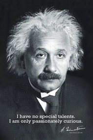 Αφίσα Einstein Curiosity