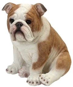 ΦΙΓΟΥΡΑ ΣΚΥΛΟΣ BULLDOG ΠΟΛΥΡΕΖ. 20Χ14,5Χ19,5ΕΚ - ESPIEL - KUL207