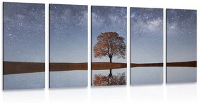 Εικόνα 5 μερών έναστρος ουρανός πάνω από μοναχικό δέντρο - 100x50