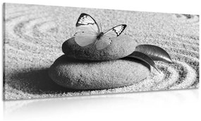 Εικόνα πεταλούδας σε πέτρα Ζεν σε ασπρόμαυρο - 100x50