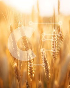 Intra Συλλεκτικό Ξύλινο Παζλ Plywood 4mm - Χωράφι του χρυσού σίτου με λαμπερό ήλιο Σε Ξύλινο Κουτί - Διαστάσεις: 10x10 cm – 25 κομμάτια