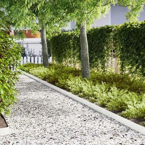 vidaXL Περίγραμμα γκαζόν 20 pcs Λευκό 100 x 0.05 x 20 εκ