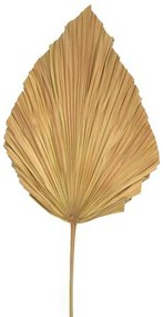 Διακοσμητικό φύλλο Walsy Inart palm leaf σε φυσική απόχρωση Υ135 εκ