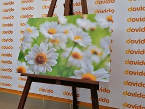 Εικόνα ανοιξιάτικο λιβάδι γεμάτο λουλούδια - 90x60