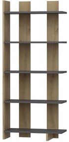 Βιβλιοθήκη Elas 475OLV2121 62x25x150cm Anthracite-Oak