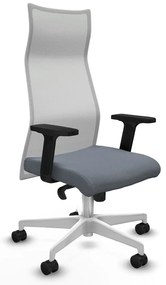 Καρέκλα Γραφείου Piqueras y Crespo B2D026N Γκρι