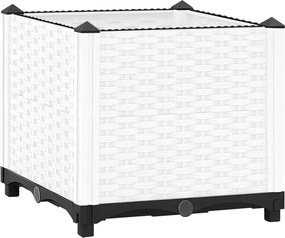 vidaXL Ζαρντινιέρα 40 x 40 x 38 εκ. από Πολυπροπυλένιο