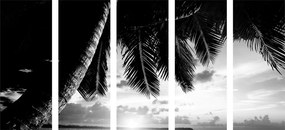 Εικόνα 5 μερών ανατολής σε παραλία της Καραϊβικής σε ασπρόμαυρο - 100x50