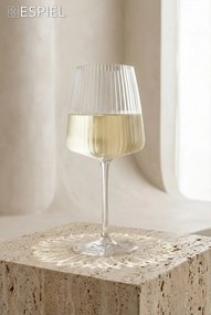 DIZZY WINE FT 490ML 6,5X21CM