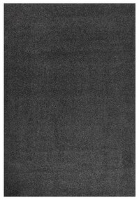 Χαλί Shaggy με Ψηλό Πέλος Ανθρακί 160 x 230 εκ. - Ανθρακί