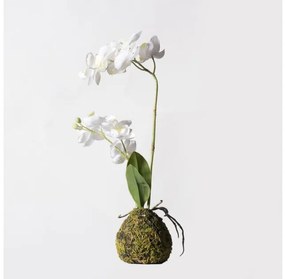 Τεχνητό Φυτό Ορχιδέα Phalaenopsis Real Touch Λευκή με Βάση Moss 40 εκ. 6070-6 Supergreens-6070-6-Λευκό 6070-6