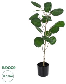 GloboStar® Artificial Garden POLYSCIAS BALFOURIANA TREE 20373 Τεχνητό Διακοσμητικό Φυτό Πολυσκιά Υ70cm