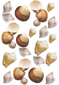 Διακοσμητικά Αυτοκόλλητα Ocean 1914 15x23,5cm Nature Kleine Wolke Plastic