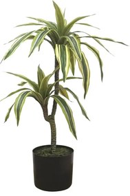 MarHome ΔΕΝΤΡΟ ΔΡΑΚΑΙΝΑ ΠΡΑΣΙΝΟ ΔΙΧΡΩΜΟ REAL TOUCH - Υ63cm 6/KΙΒ  04-20015(22067)