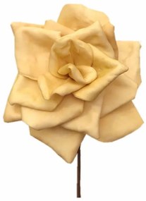 ART ET LUMIERE ΛΟΥΛΟΥΔΙ ΜΠΕΖ