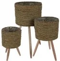 BOX37211 THE NETHERLANDS ΤΕΧΝΗΤΆ ΦΥΤΆ &amp; ΚΑΣΠΏ FLOWERPOT NATUREL SET OF 3PCS 430000510 22,5/22,5/35 NEOPORTAL-8720573171489